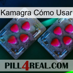 Kamagra Cómo Usar 14